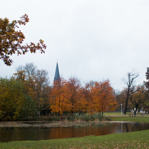 Vondelpark Vondelpark • <a style="font-size:0.8em;" href="http://www.flickr.com/photos/96122682@N08/37936241716/" target="_blank">View on Flickr</a>