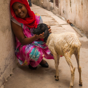 • <a style="font-size:0.8em;" href="http://www.flickr.com/photos/96122682@N08/37253514974/" target="_blank">View on Flickr</a>