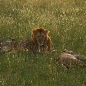 El descanso luego de esos intensos 5 segundos... El descanso luego de esos intensos 5 segundos... • <a style="font-size:0.8em;" href="http://www.flickr.com/photos/96122682@N08/37931092042/" target="_blank">View on Flickr</a>