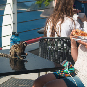 • <a style="font-size:0.8em;" href="http://www.flickr.com/photos/96122682@N08/37943839176/" target="_blank">View on Flickr</a>