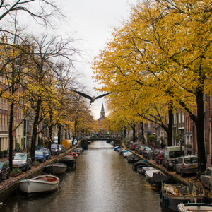 Jordaan Jordaan • <a style="font-size:0.8em;" href="http://www.flickr.com/photos/96122682@N08/37989298211/" target="_blank">View on Flickr</a>