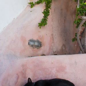 Gente relajada Parte II Gente relajada Parte II • <a style="font-size:0.8em;" href="http://www.flickr.com/photos/96122682@N08/26240161219/" target="_blank">View on Flickr</a>