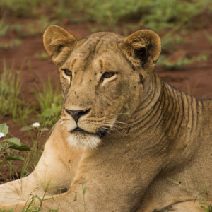 • <a style="font-size:0.8em;" href="http://www.flickr.com/photos/96122682@N08/37898513596/" target="_blank">View on Flickr</a>