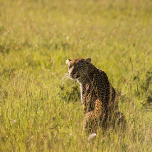 • <a style="font-size:0.8em;" href="http://www.flickr.com/photos/96122682@N08/37931732592/" target="_blank">View on Flickr</a>