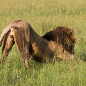 • <a style="font-size:0.8em;" href="http://www.flickr.com/photos/96122682@N08/37962072711/" target="_blank">View on Flickr</a>