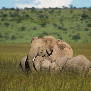 • <a style="font-size:0.8em;" href="http://www.flickr.com/photos/96122682@N08/37962765081/" target="_blank">View on Flickr</a>