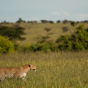 • <a style="font-size:0.8em;" href="http://www.flickr.com/photos/96122682@N08/24111645688/" target="_blank">View on Flickr</a>