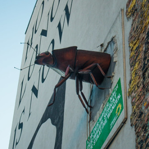 • <a style="font-size:0.8em;" href="http://www.flickr.com/photos/96122682@N08/26235735779/" target="_blank">View on Flickr</a>