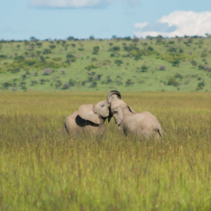 • <a style="font-size:0.8em;" href="http://www.flickr.com/photos/96122682@N08/37962766141/" target="_blank">View on Flickr</a>