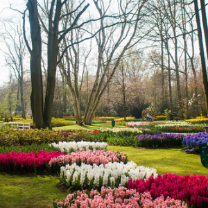 • <a style="font-size:0.8em;" href="http://www.flickr.com/photos/96122682@N08/37963877421/" target="_blank">View on Flickr</a>