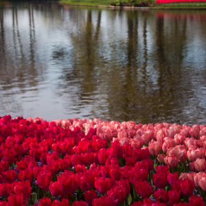 • <a style="font-size:0.8em;" href="http://www.flickr.com/photos/96122682@N08/26188341979/" target="_blank">View on Flickr</a>