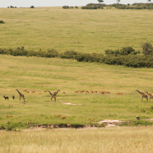 La imagen mental que todos tenemos del edén creo que se parece mucho a esta La imagen mental que todos tenemos del edén creo que se parece mucho a esta • <a style="font-size:0.8em;" href="http://www.flickr.com/photos/96122682@N08/37252316644/" target="_blank">View on Flickr</a>