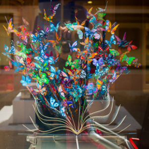 La imaginacion vuela La imaginacion vuela • <a style="font-size:0.8em;" href="http://www.flickr.com/photos/96122682@N08/37933529102/" target="_blank">View on Flickr</a>