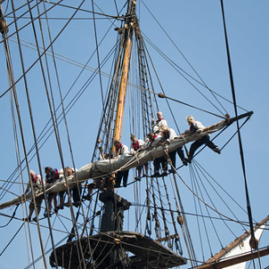 SAIL Amsterdam 2015 SAIL Amsterdam 2015 • <a style="font-size:0.8em;" href="http://www.flickr.com/photos/96122682@N08/24099434108/" target="_blank">View on Flickr</a>