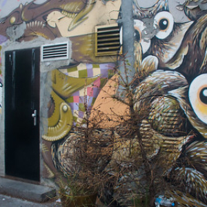 • <a style="font-size:0.8em;" href="http://www.flickr.com/photos/96122682@N08/24120175758/" target="_blank">View on Flickr</a>