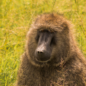 • <a style="font-size:0.8em;" href="http://www.flickr.com/photos/96122682@N08/37961932561/" target="_blank">View on Flickr</a>