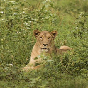 • <a style="font-size:0.8em;" href="http://www.flickr.com/photos/96122682@N08/37242534474/" target="_blank">View on Flickr</a>