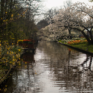 • <a style="font-size:0.8em;" href="http://www.flickr.com/photos/96122682@N08/26188385379/" target="_blank">View on Flickr</a>