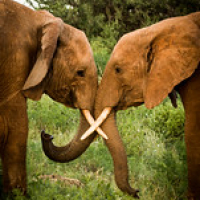 • <a style="font-size:0.8em;" href="http://www.flickr.com/photos/96122682@N08/37952455301/" target="_blank">View on Flickr</a>