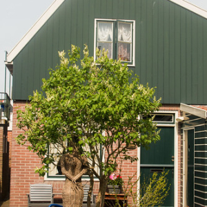 Volendam Volendam • <a style="font-size:0.8em;" href="http://www.flickr.com/photos/96122682@N08/37964168061/" target="_blank">View on Flickr</a>