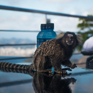 Te agarré infraganti Te agarré infraganti • <a style="font-size:0.8em;" href="http://www.flickr.com/photos/96122682@N08/26221082549/" target="_blank">View on Flickr</a>