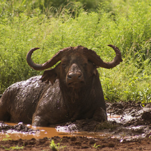 • <a style="font-size:0.8em;" href="http://www.flickr.com/photos/96122682@N08/24100663828/" target="_blank">View on Flickr</a>