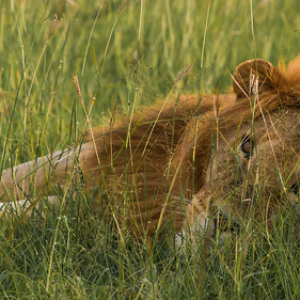 • <a style="font-size:0.8em;" href="http://www.flickr.com/photos/96122682@N08/37908528316/" target="_blank">View on Flickr</a>