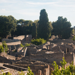 • <a style="font-size:0.8em;" href="http://www.flickr.com/photos/96122682@N08/37940774692/" target="_blank">View on Flickr</a>