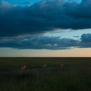 • <a style="font-size:0.8em;" href="http://www.flickr.com/photos/96122682@N08/37909226966/" target="_blank">View on Flickr</a>