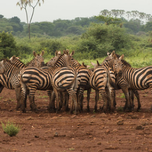 • <a style="font-size:0.8em;" href="http://www.flickr.com/photos/96122682@N08/37242531304/" target="_blank">View on Flickr</a>