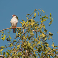 • <a style="font-size:0.8em;" href="http://www.flickr.com/photos/96122682@N08/37243130074/" target="_blank">View on Flickr</a>