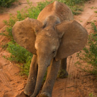 • <a style="font-size:0.8em;" href="http://www.flickr.com/photos/96122682@N08/37243139684/" target="_blank">View on Flickr</a>