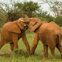 • <a style="font-size:0.8em;" href="http://www.flickr.com/photos/96122682@N08/37952462311/" target="_blank">View on Flickr</a>