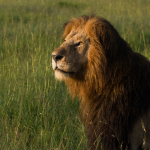 • <a style="font-size:0.8em;" href="http://www.flickr.com/photos/96122682@N08/37962080421/" target="_blank">View on Flickr</a>