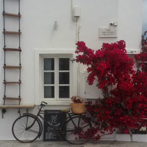 • <a style="font-size:0.8em;" href="http://www.flickr.com/photos/96122682@N08/37985403282/" target="_blank">View on Flickr</a>