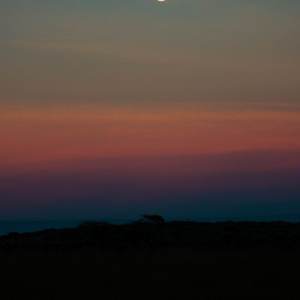 • <a style="font-size:0.8em;" href="http://www.flickr.com/photos/96122682@N08/24111772118/" target="_blank">View on Flickr</a>