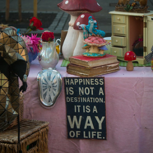 • <a style="font-size:0.8em;" href="http://www.flickr.com/photos/96122682@N08/37997166101/" target="_blank">View on Flickr</a>