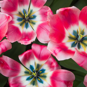 • <a style="font-size:0.8em;" href="http://www.flickr.com/photos/96122682@N08/24113059388/" target="_blank">View on Flickr</a>