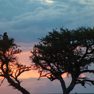 • <a style="font-size:0.8em;" href="http://www.flickr.com/photos/96122682@N08/37253096074/" target="_blank">View on Flickr</a>