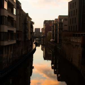 IMG_8587 IMG_8587 • <a style="font-size:0.8em;" href="http://www.flickr.com/photos/96122682@N08/37965680112/" target="_blank">View on Flickr</a>