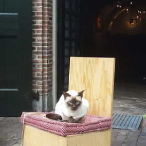 Utrecht 2015 Utrecht 2015 • <a style="font-size:0.8em;" href="http://www.flickr.com/photos/96122682@N08/37241437544/" target="_blank">View on Flickr</a>