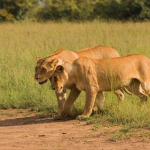 Hermandad Hermandad • <a style="font-size:0.8em;" href="http://www.flickr.com/photos/96122682@N08/37252360134/" target="_blank">View on Flickr</a>