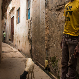 • <a style="font-size:0.8em;" href="http://www.flickr.com/photos/96122682@N08/37253516804/" target="_blank">View on Flickr</a>