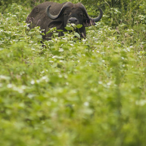 • <a style="font-size:0.8em;" href="http://www.flickr.com/photos/96122682@N08/37242529404/" target="_blank">View on Flickr</a>