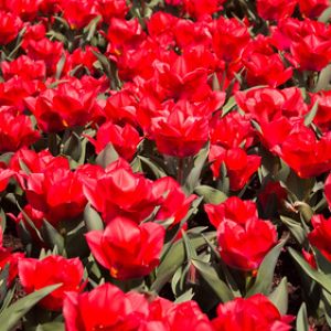 • <a style="font-size:0.8em;" href="http://www.flickr.com/photos/96122682@N08/37910613226/" target="_blank">View on Flickr</a>