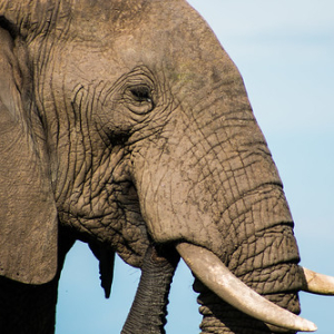 IMG_9690 IMG_9690 • <a style="font-size:0.8em;" href="http://www.flickr.com/photos/96122682@N08/26186351389/" target="_blank">View on Flickr</a>