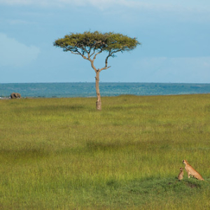 • <a style="font-size:0.8em;" href="http://www.flickr.com/photos/96122682@N08/26186346529/" target="_blank">View on Flickr</a>