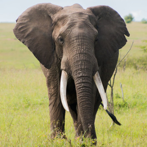 • <a style="font-size:0.8em;" href="http://www.flickr.com/photos/96122682@N08/26187193379/" target="_blank">View on Flickr</a>