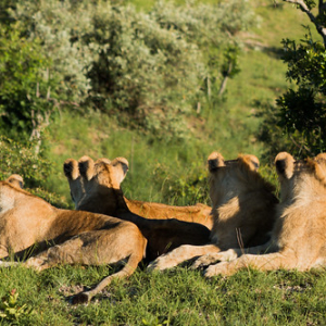 • <a style="font-size:0.8em;" href="http://www.flickr.com/photos/96122682@N08/37253104064/" target="_blank">View on Flickr</a>