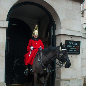 Este hombre y este caballo pasan 2 horas ahí parados, hoy en día por una cuestión meramente turística Este hombre y este caballo pasan 2 horas ahí parados, hoy en día por una cuestión meramente turística • <a style="font-size:0.8em;" href="http://www.flickr.com/photos/96122682@N08/37288037344/" target="_blank">View on Flickr</a>